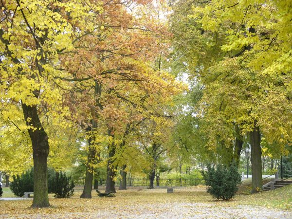 Gniezno, Wzgórze Lecha.