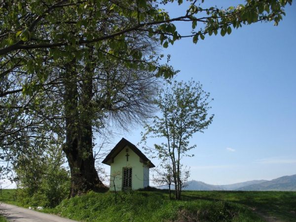 Kapliczka pod lipką
