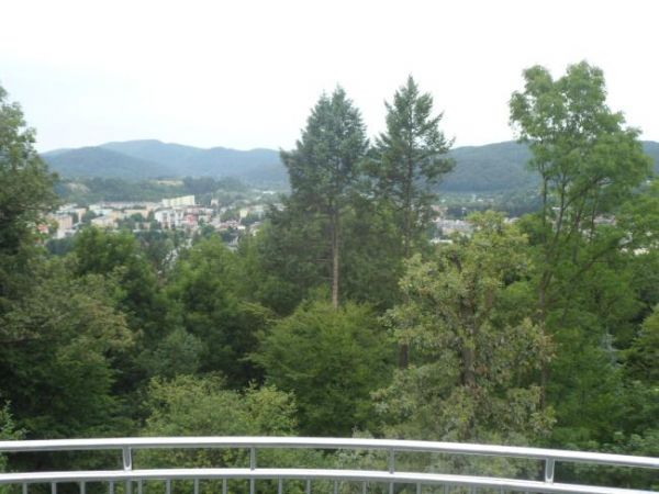 z platformy w parku - widok na dzielnicę Wójtostwo.