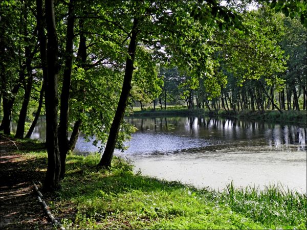 Dwór Szlachecki z końca XIX wieku otoczony parkiem krajobrazowym i stawem. Do 1945 roku należał do rodziny hrabiów Łastowieckich.
