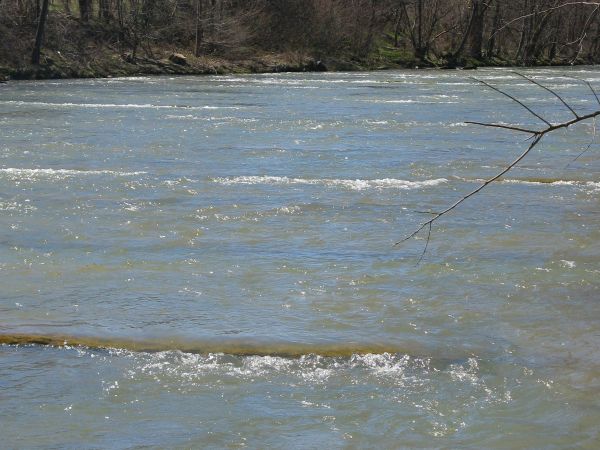 Pomnik przyrody "Progi skalne na Hoczewce" - odc. rzeki długości ok. 200m, na którym występuje największe ich skupienie. Hoczewka ma długość 25 km, zwana w swym