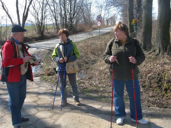 Na początku alei stoi metalowy krzyż na cokole z piaskowca, z datą 1879r. i nieczytelną inskrypcją. Według tradycji , krzyż ustawiony został  dla upamiętnienia