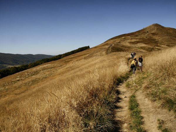 Połonina Caryńska-grzbiet