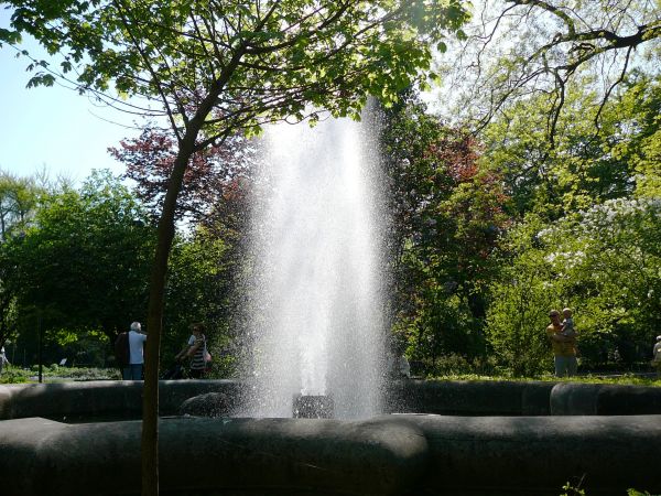 FONTANNA W OGRODZIE BOTANICZNYM