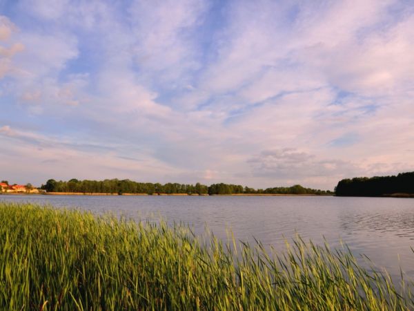 Widok z Orchowego na Jesionkę