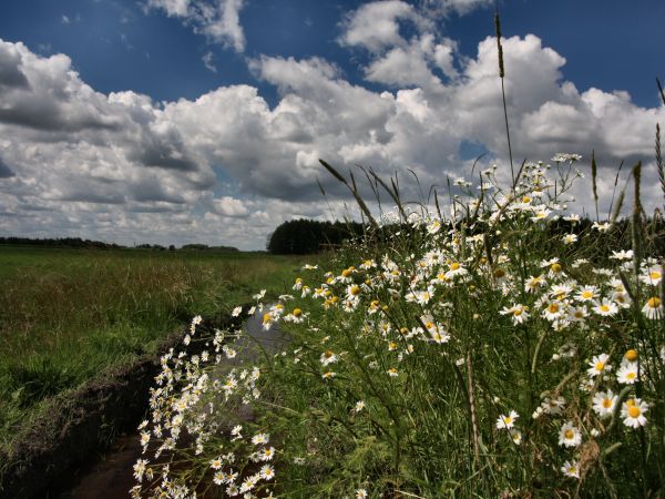 zdjecie Tyniewicze Duże