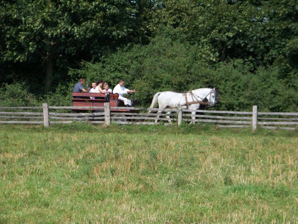 Przejażdżka wozem.
