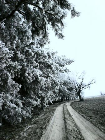 A zimą jest tak pięknie...