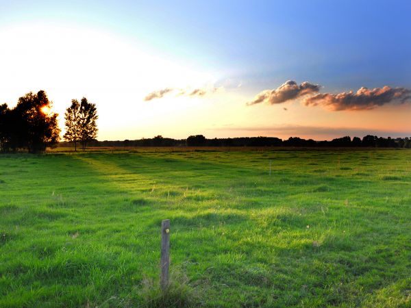 zdjecie Nowa Złotoria