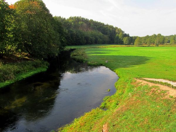 Rzeka Wda i łąki Małego Bukowca