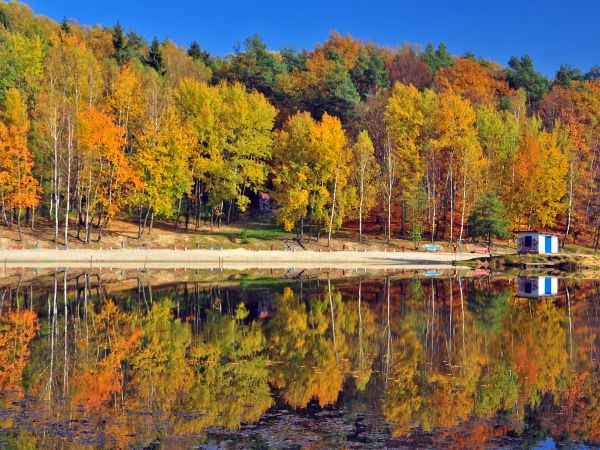 zdjecie Wodzisław Śląski