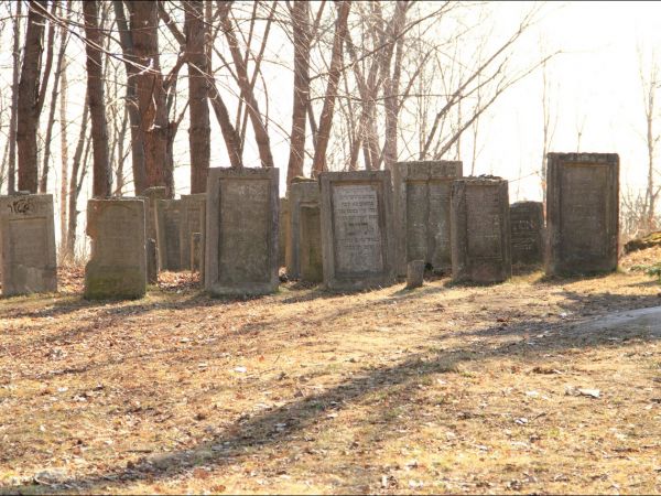 Cmentarz żydowski w Leżajsku