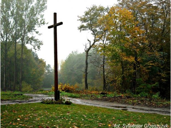 zdjecie Jasieniec Solecki