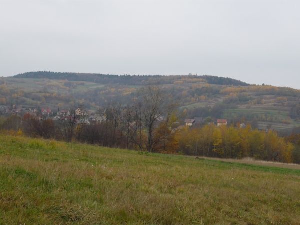 Harbutowice. W głębi Las Groby.