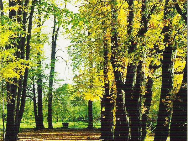 ze zbiorów prywatnych: z materiałów promujących muzeum, przy ścieżce na postumencie pomnik / popiersie poetki.