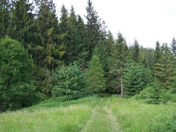 Soblówka, droga na Muńcuł lub Muńcoł (1165 m) – masyw górski w Beskidzie Żywieckim.