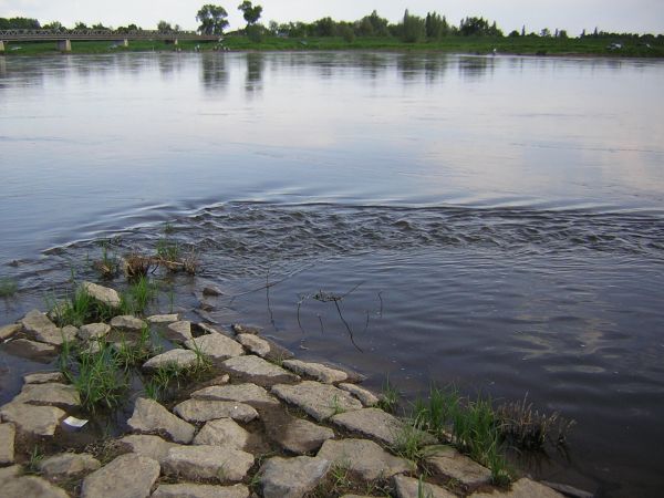zdjecie Sulechów