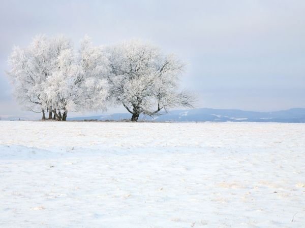 Zima w Pasterce w górach Stołowych. Malutka, malownicza wioska u samego podnóża Szczelińca Wielkiego jest unikalną już oazą ciszy i spokoju zadziwiając przy tym