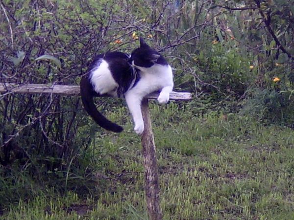 tak też widać można odpoczywać