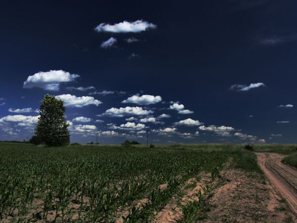 zdjecie Tyniewicze Duże