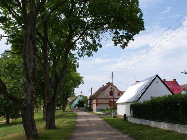 Psie Głowy - lipiec 2011