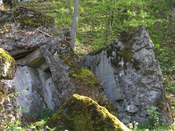 ruiny bunkra, uczestnicy rajdu PTTK O/Sanok na zboczu Góry Sobień; zdjęcie i rajd prowadzi: Maciek Skowroński.
