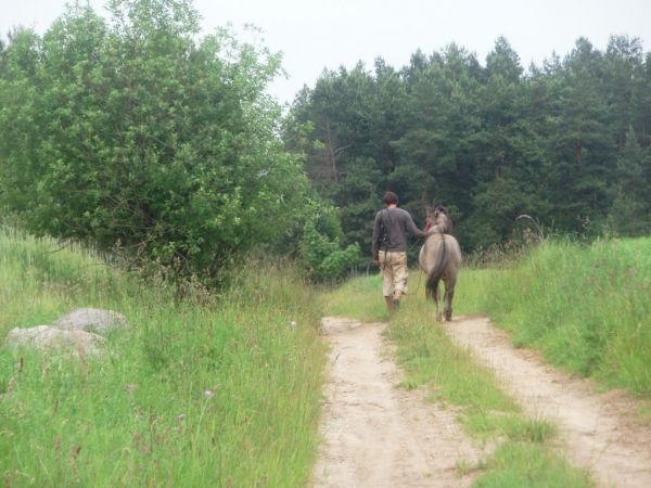 W okolicy wiele polnych dróg