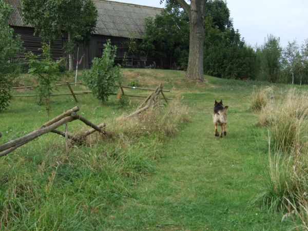 Sielskie widoki nad jeziorem Głęboczek