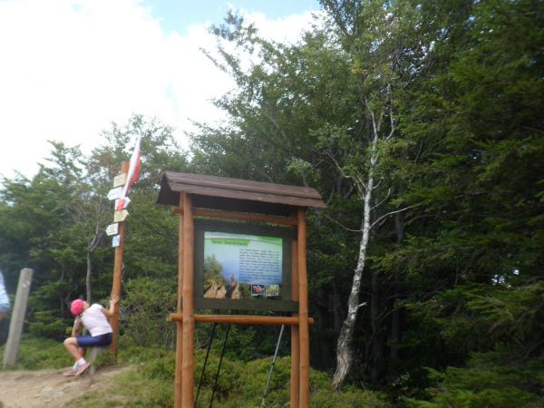 stylowy w bryle i starannie opracowany witacz na górze Dwernik Kamień, za nim słup ze strzałkami opisującymi szlaki turystyczne i wskazaniem szczytów do zdobyci