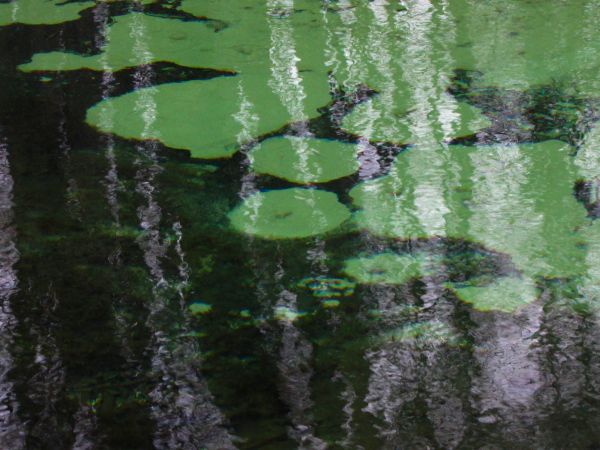 zdjecie Tomaszów Mazowiecki