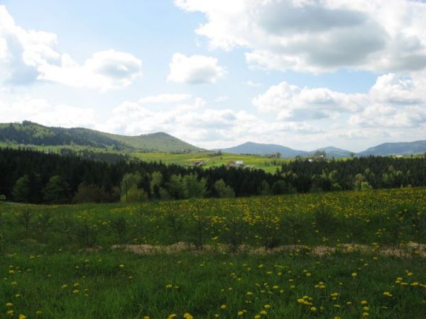 zdjecie Siekierczyna