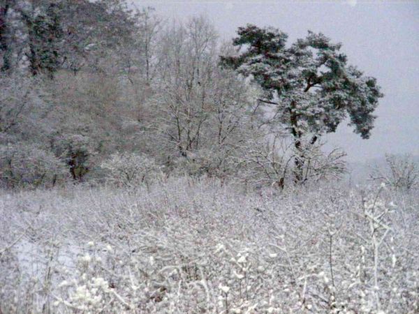 zdjecie Będzieszewo