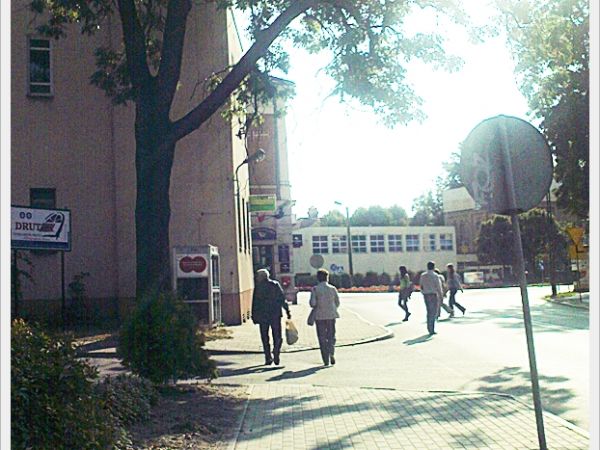 Sulechów