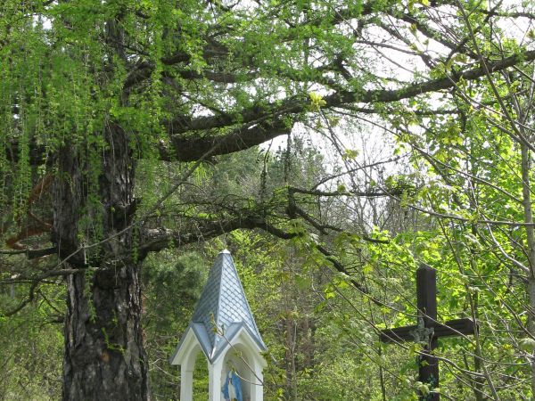 szczególnym elementem polskich dróg są kapliczki przydrożne, figury i krzyże, jako stały element polskiego pejzażu były i są znakiem obecności chrześcijaństwa,