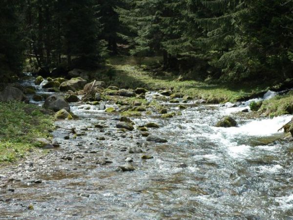zdjecie Zakopane