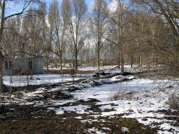 Zdewastowana fabryka domów ul. Północnej   fot.  2