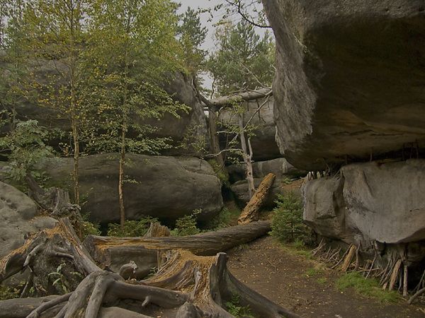 Karłów-Błędne Skały