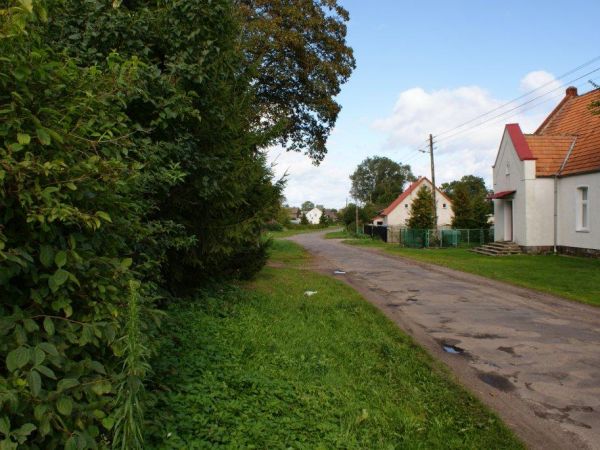 Roby - wrzesień 2010