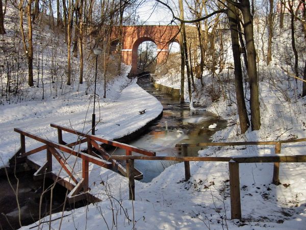 Reszelski park zimą.2012-01-30