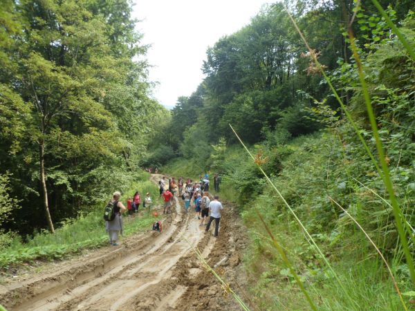 opuszczamy wieś i w porozumieniu oraz za zgodą Lasów Państwowych duktem leśnym będziemy wędrować do Teleśnicy Sannej.