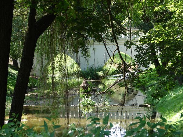 Zespol palacowy pod bankowym kluczem