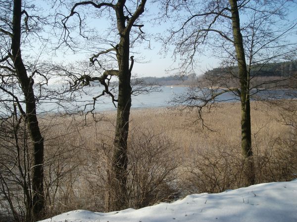 Sępólno Krajeńskie - krajobraz na jezioro.