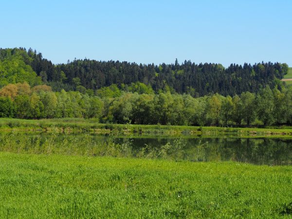 staw hodowlany gospodarstwa agroturystycznego - tam corocznie zawody w wędkarstwie spławikowym.