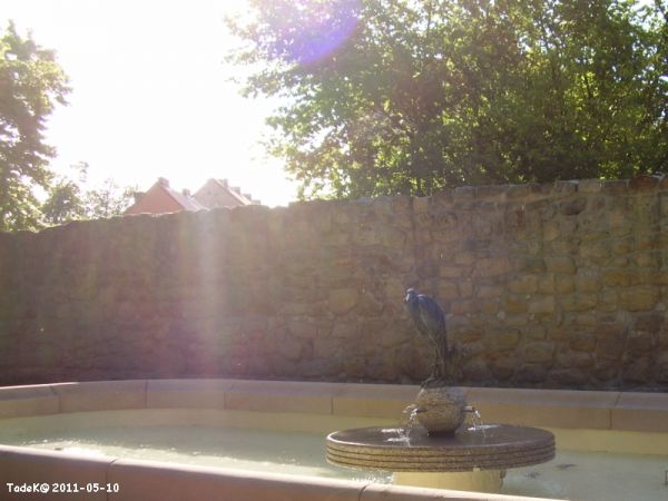 Wchodząc do Parku Miejskiego od strony ul. Kościelnej, spotkasz widok odrestaurowanej fontanny ...