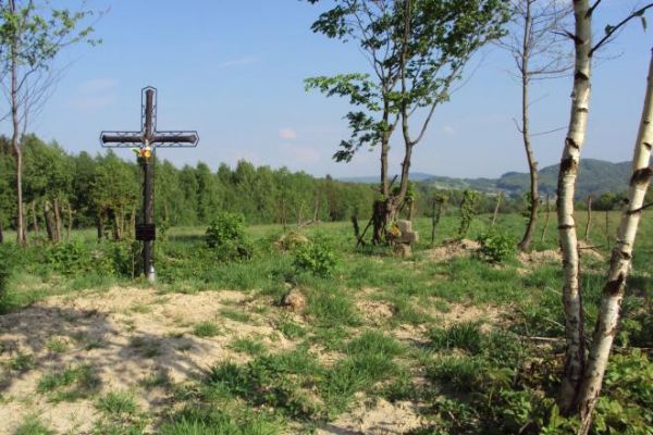 cmentarzyk choleryczny, na wzgórzu - poza wsią, pod lasem.