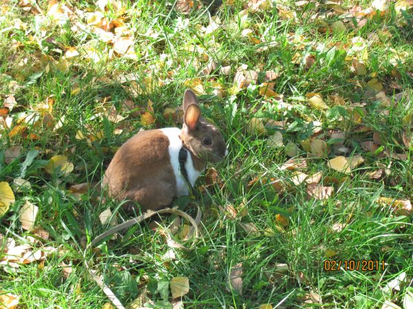 Gdzie indzie zobaqczysz przyjaciela jak na .......