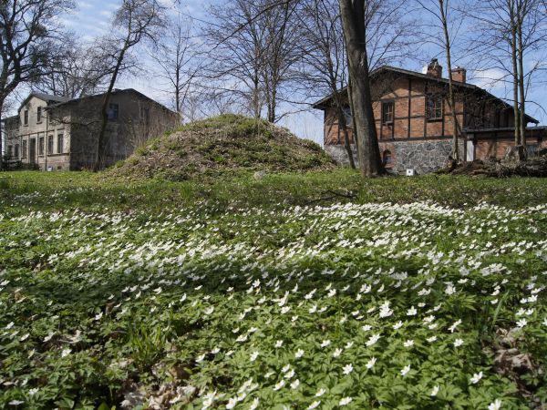 Godziszewo - Kociewska Chata