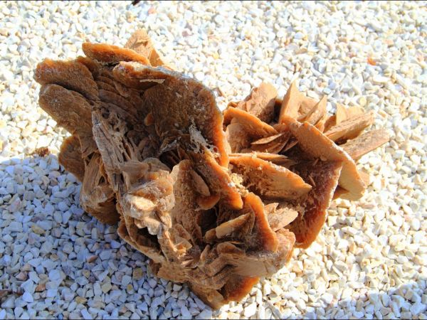 Klasztor Saletynów i Sanktuarium Matki Bożej z La Salette - Płaczącej  w Dębowcu  .  W kościele ukoronowana jest Matka Boża Saletyńska, która spełnia prośby lud