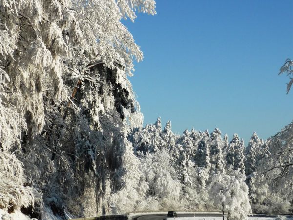 Zimowe krajobrazy z okolic  Arłamowa na Pogórzu Przemyskim.