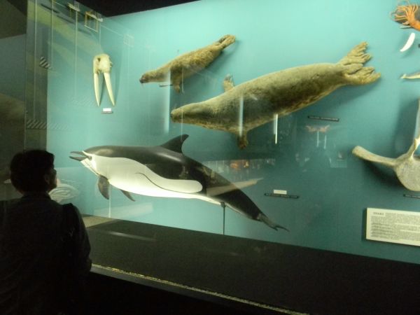 Czerwiec 2011, Akwarium